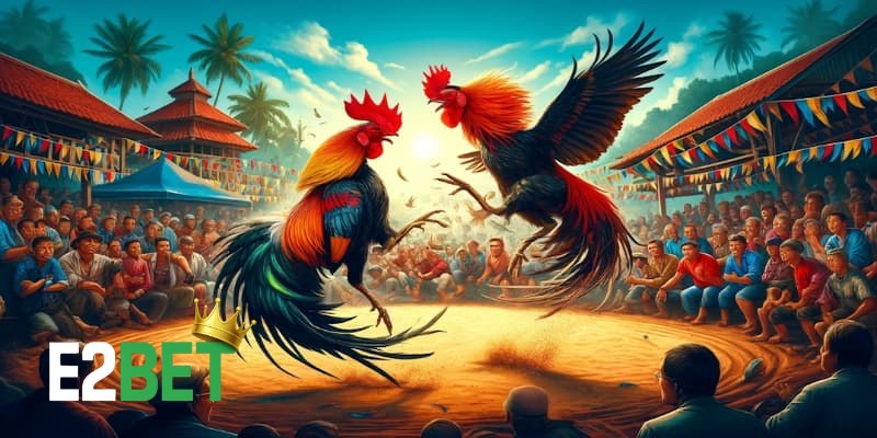 Chọn Gà Đá Thomo