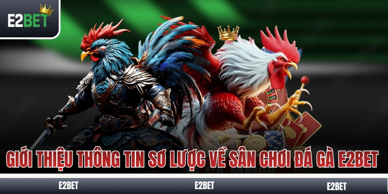 Giới thiệu thông tin sơ lược về sân chơi đá gà E2BET