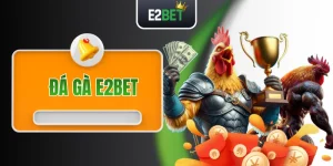 Đá Gà E2BET Với 100+ Trận Kê Chiến Chuyên Nghiệp Mỗi Ngày