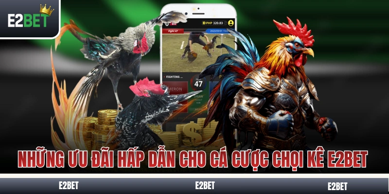 Những ưu đãi hấp dẫn cho cá cược chọi kê E2BET